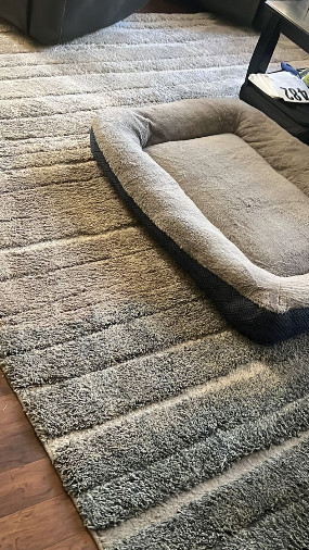 about-me Rug Soul Cleaners ARC 2