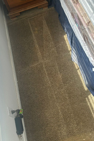 Rug & Soul Cleaners carpet cleaning in glendale